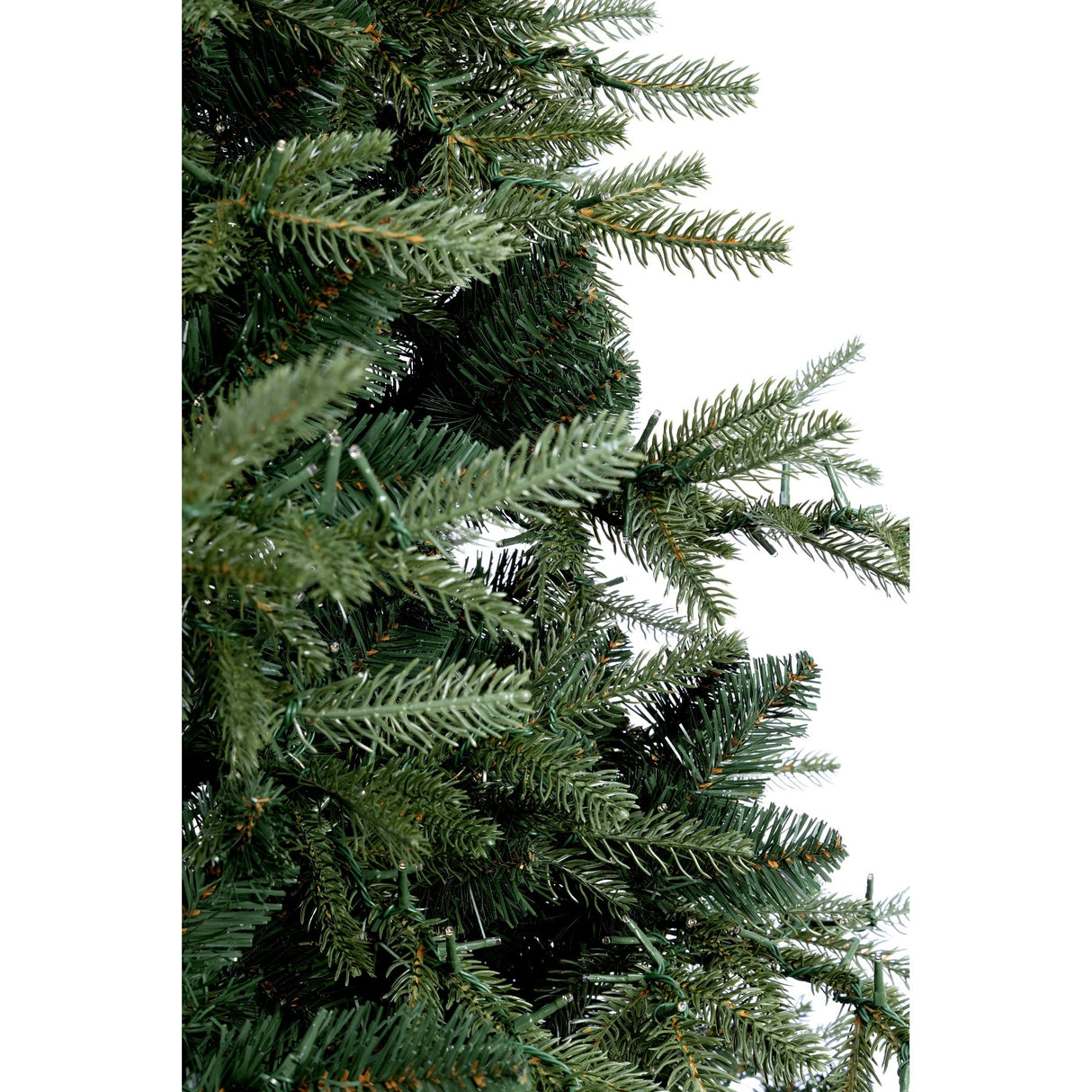 Bizzotto Albero di Natale Ritter H 240 cm con 4711 Rami e 7800 LED
