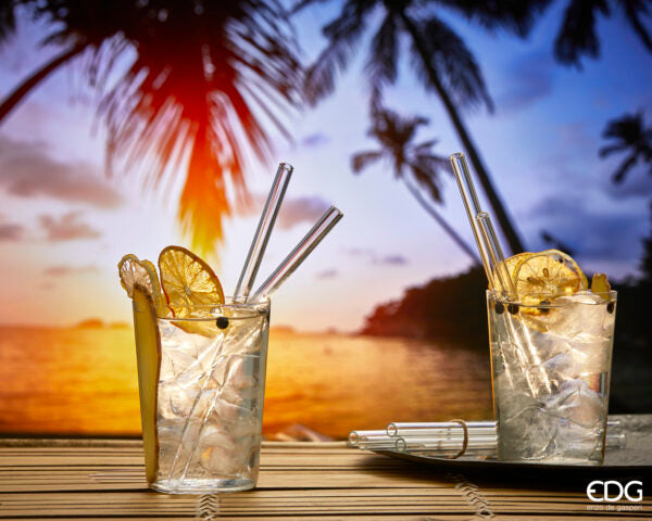 EDG Enzo De Gasperi Straw Pack of 6 + Toothbrush H23 D1 Natural Transparent