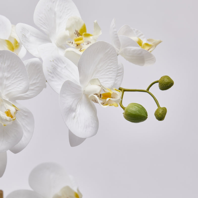 edg enzo de gasperi edg enzo de gasperi orchidea phalaenopsis con vaso ramo x2 artificiale h 58 cm white ean 8059824358080