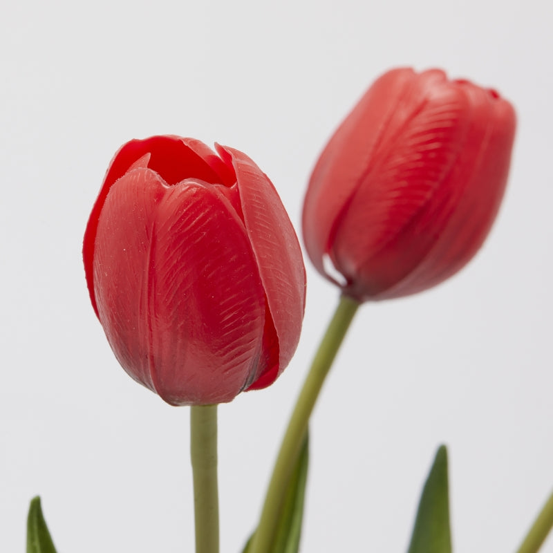 EDG Enzo De Gasperi Bouquet 5 Tulips with Leaves H 40 Cm Red