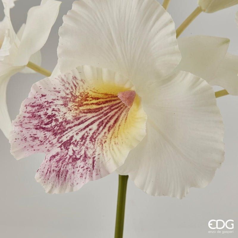 edg enzo de gasperi edg enzo de gasperi orchidea cattleya duke ramo x4 e 2 boccioli artificiale h 43 cm white violet ean 8056372147227