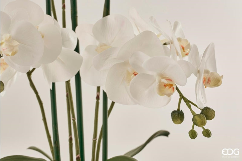 edg enzo de gasperi edg enzo de gasperi orchidea phalaenopsis pianta x5 con vaso artificiale h 65 cm white ean 8056372396809