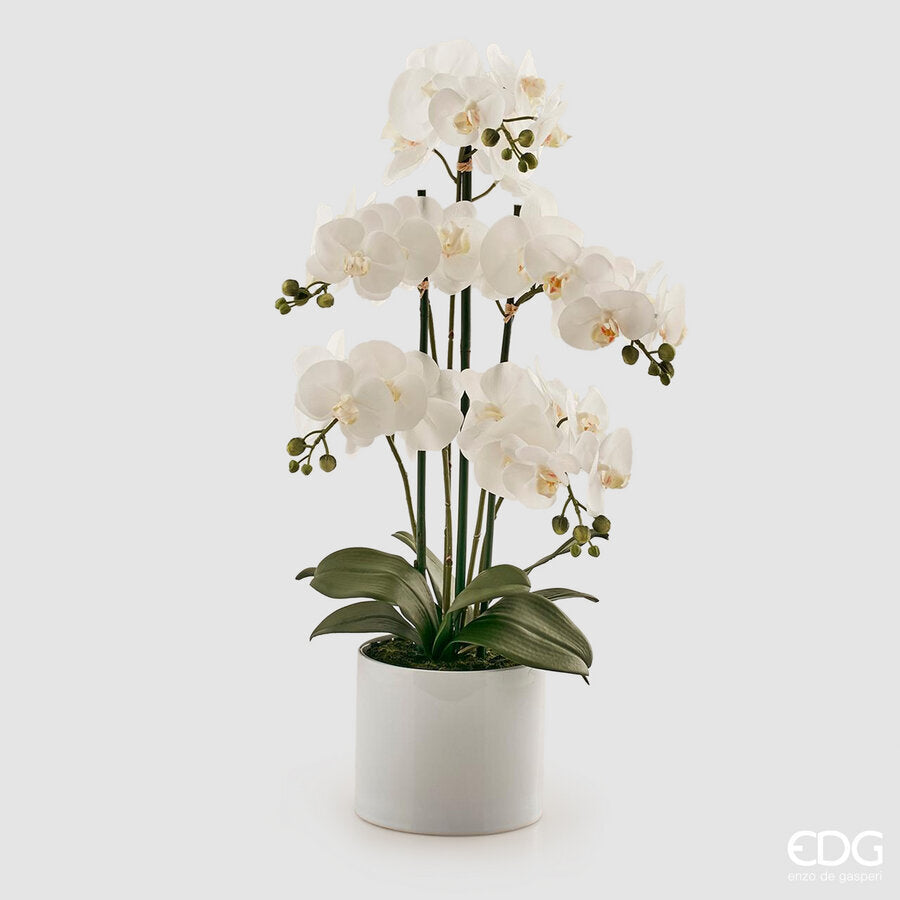 edg enzo de gasperi edg enzo de gasperi orchidea phalaenopsis pianta x5 con vaso artificiale h 65 cm white ean 8056372396809