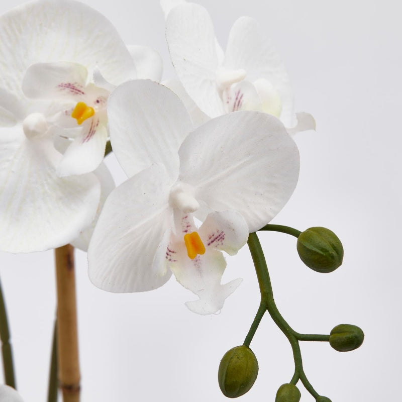 edg enzo de gasperi edg enzo de gasperi orchidea phalaenopsis pianta x3 artificiale con cesto h 48 cm white ean 8059824123688