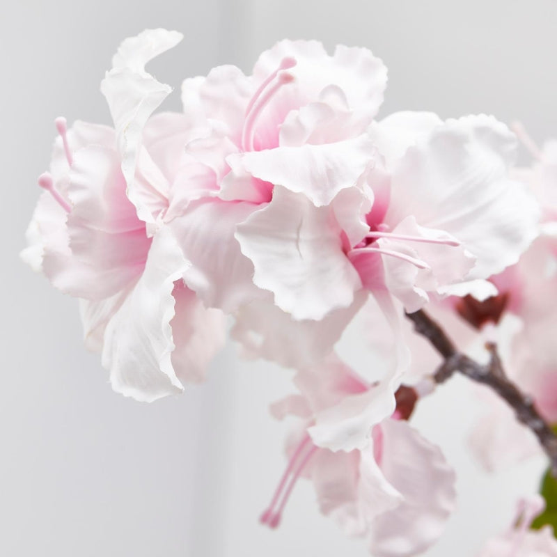 EDG Enzo De Gasperi Sakura Branch Artificial Japanese Cherry Assorted H 105 Cm Pink Cream 1 Pc