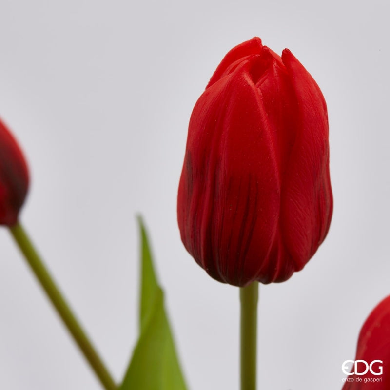EDG Enzo De Gasperi Bouquet of 5 Tulips Olis Ass. H 40 Cm Orange 1 Pc