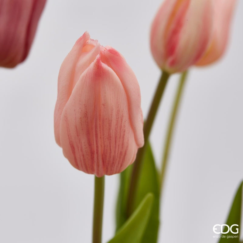 EDG Enzo De Gasperi Bouquet of 5 Tulips Olis Ass. H 40 Cm Mauve 1 Pc