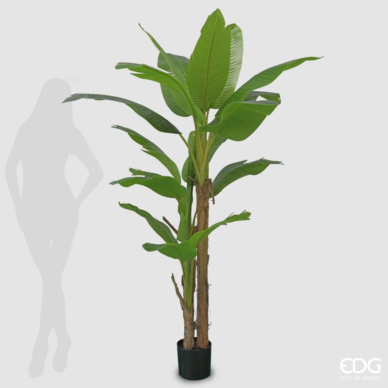 EDG Enzo De Gasperi Banana Tree with Artificial Vase H 200 Cm Green Color