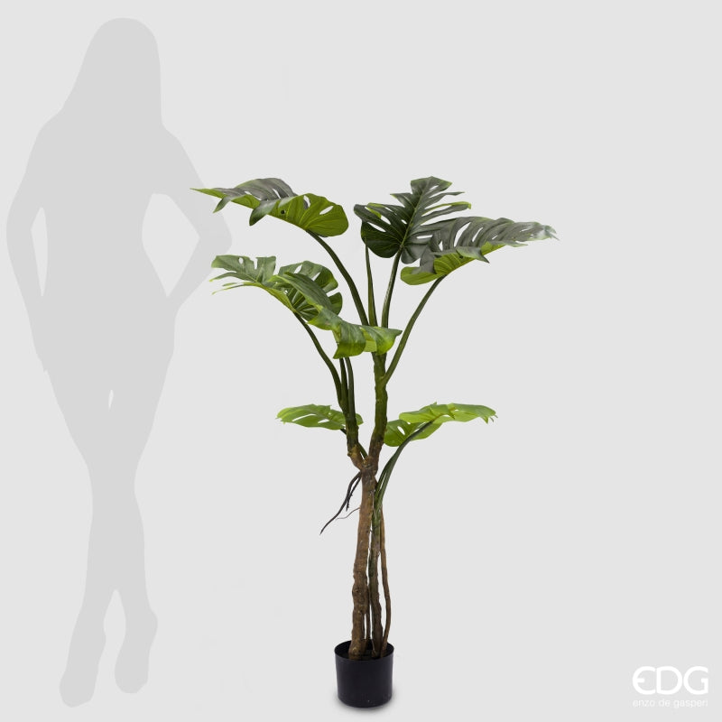 EDG Enzo De Gasperi Monstera Slim With Artificial Pot H 130 Cm Green