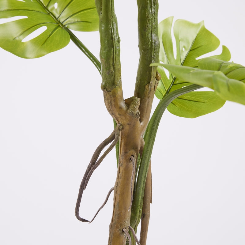 EDG Enzo De Gasperi Monstera Slim With Artificial Pot H 130 Cm Green