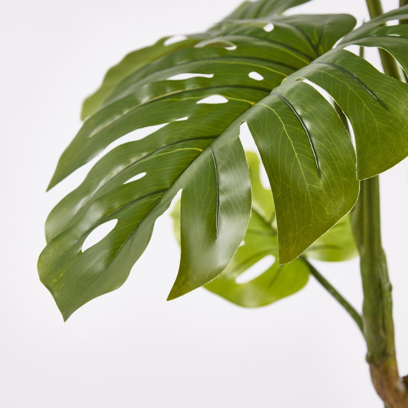 EDG Enzo De Gasperi Monstera Slim With Artificial Pot H 130 Cm Green