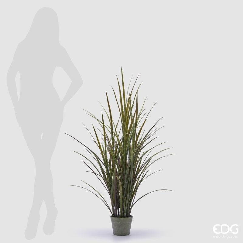 EDG Enzo De Gasperi Festuca with Vase H 122 Cm Green Color