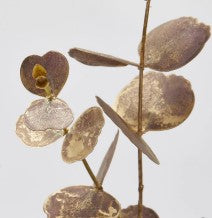 EDG Enzo De Gasperi Eucalyptus Branch H 89 Cm Plastic Garnet