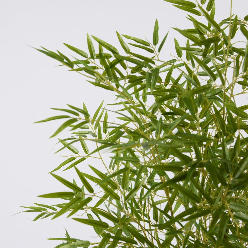 EDG Enzo De Gasperi Bamboo with Vase H 150 cm Green Color