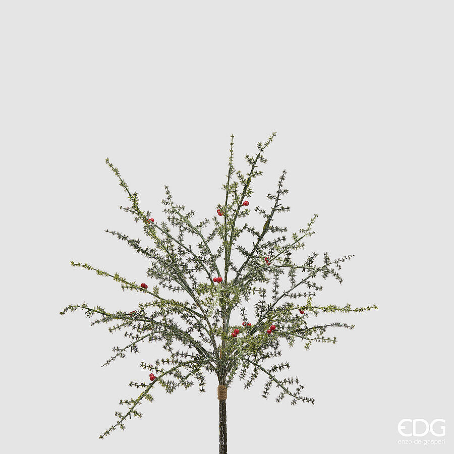 EDG Enzo De Gasperi Mazzo Asparago Selvatico con Bacche Green Red H50 cm – Decorazione di Natale