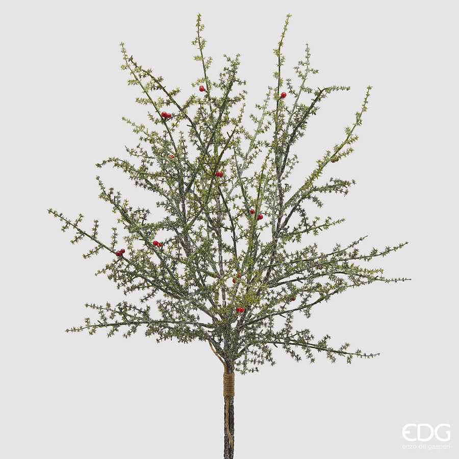 EDG Enzo De Gasperi Asparago Selvatico con Bacche H70 cm – Decorazione di Natale