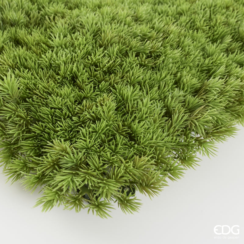 EDG Enzo De Gasperi Siepe Muschio Artificiale Anti UV 100x100 cm Impermeabile – Decorazione Verde