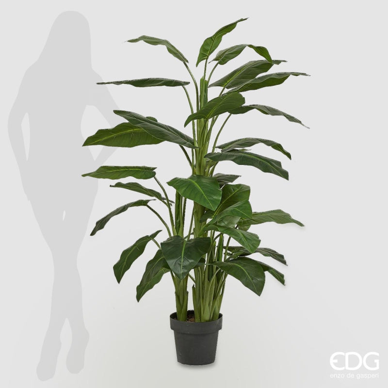 edg enzo de gasperi edg enzo de gasperi calla pianta con vaso artificiale h 145 cm green ean 8054184864516