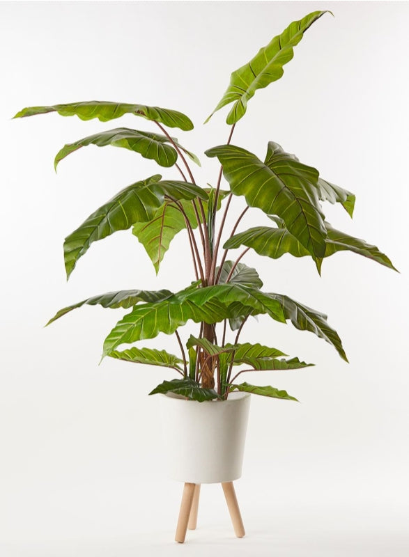 edg enzo de gasperi edg enzo de gasperi alocasia chic con vaso artificiale h 170 cm green ean 8059824908964