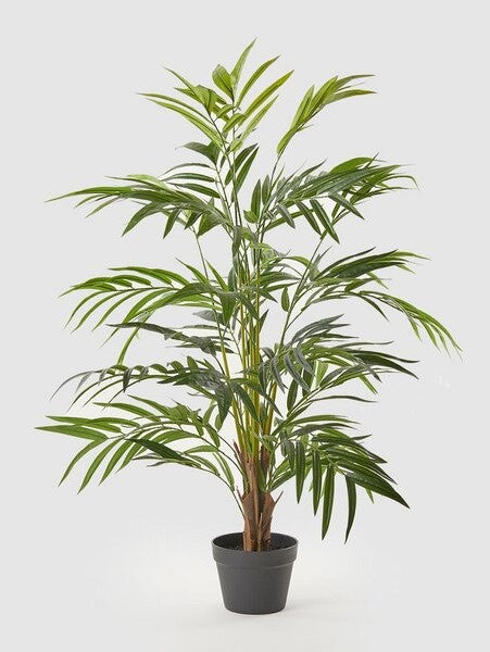 EDG Enzo De Gasperi Areca Chic with Artificial Vase H 120 Cm Green