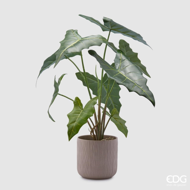 edg enzo de gasperi edg enzo de gasperi alocasia chic con vaso artificiale h 58 cm green ean 8059824309143