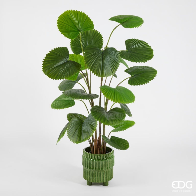 EDG Enzo De Gasperi Palma Cameros W/Vase H150 C3 Green