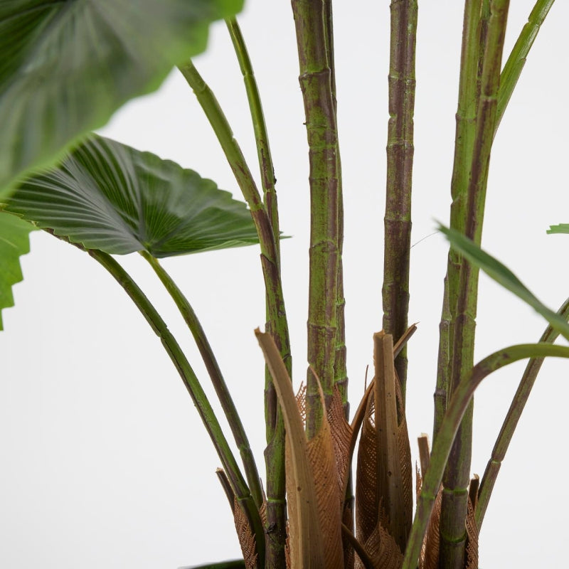 EDG Enzo De Gasperi Palma Cameros W/Vase H150 C3 Green