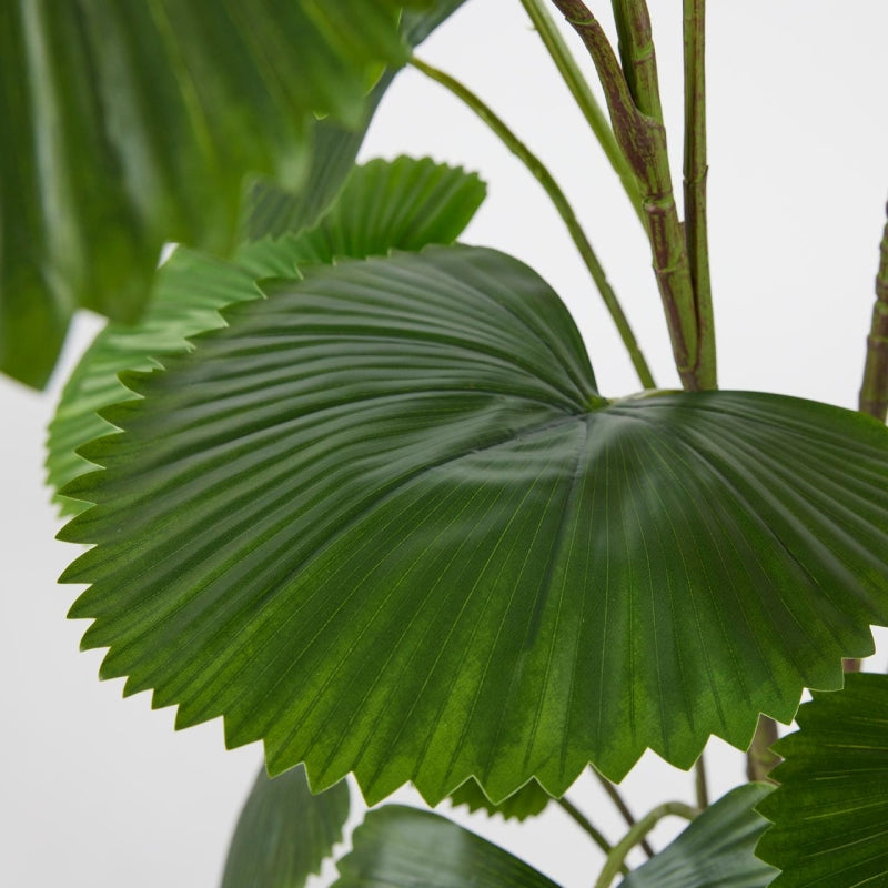 EDG Enzo De Gasperi Palma Cameros W/Vase H150 C3 Green