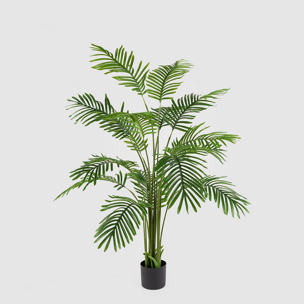 EDG Enzo De Gasperi Areca Palm W/Vase H150 C3 Green