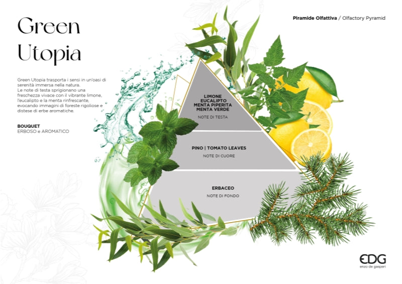edg enzo de gasperi edg enzo de gasperi profumatore bottiglia agadir 1 000 ml h 24 cm d 13 cm green utopia ean 8059824465481