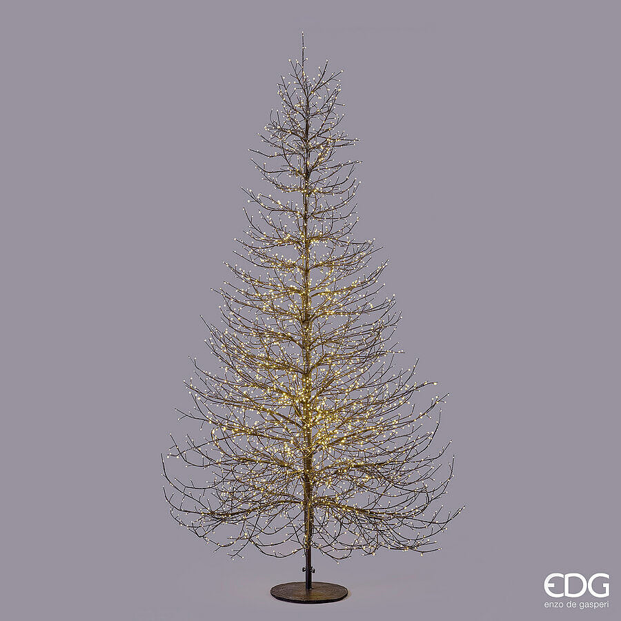 EDG Enzo De Gasperi Beech Christmas Tree Rich Black 4060 MicroLED H240 Ø150 cm IP44 – Outdoor Illuminated Tree