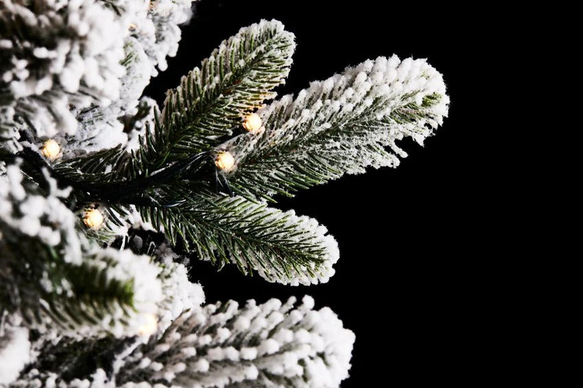 EDG Enzo De Gasperi Snow-Covered Merano Pine Christmas Tree H 240 Cm D 148 Cm with 950 White Green LEDs - LAST PIECE OFFER