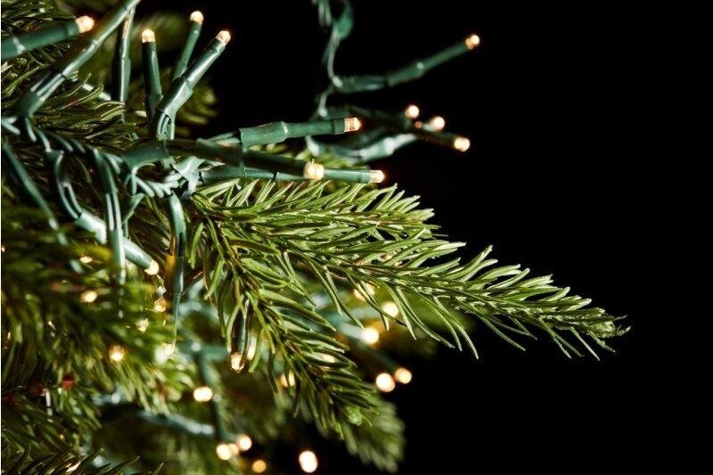 EDG Enzo De Gasperi Christmas Tree Pine Spark H 270 Cm D 198 Cm 8,400 LEDs Green