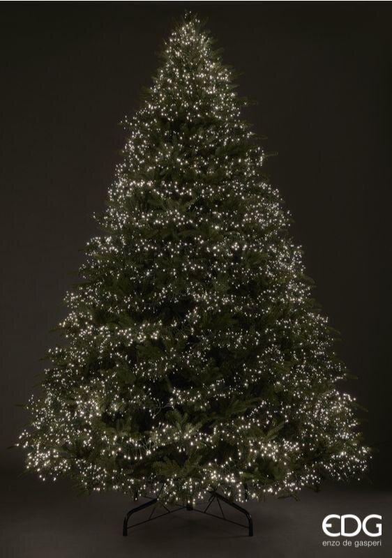 EDG Enzo De Gasperi Christmas Tree Pine Spark H 365 Cm D 220 Cm 13,000 LEDs Green