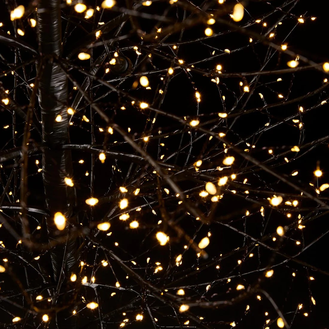 EDG Enzo De Gasperi Christmas Beech with Base 2,700 Led H 210 Cm D 100 Cm Gold