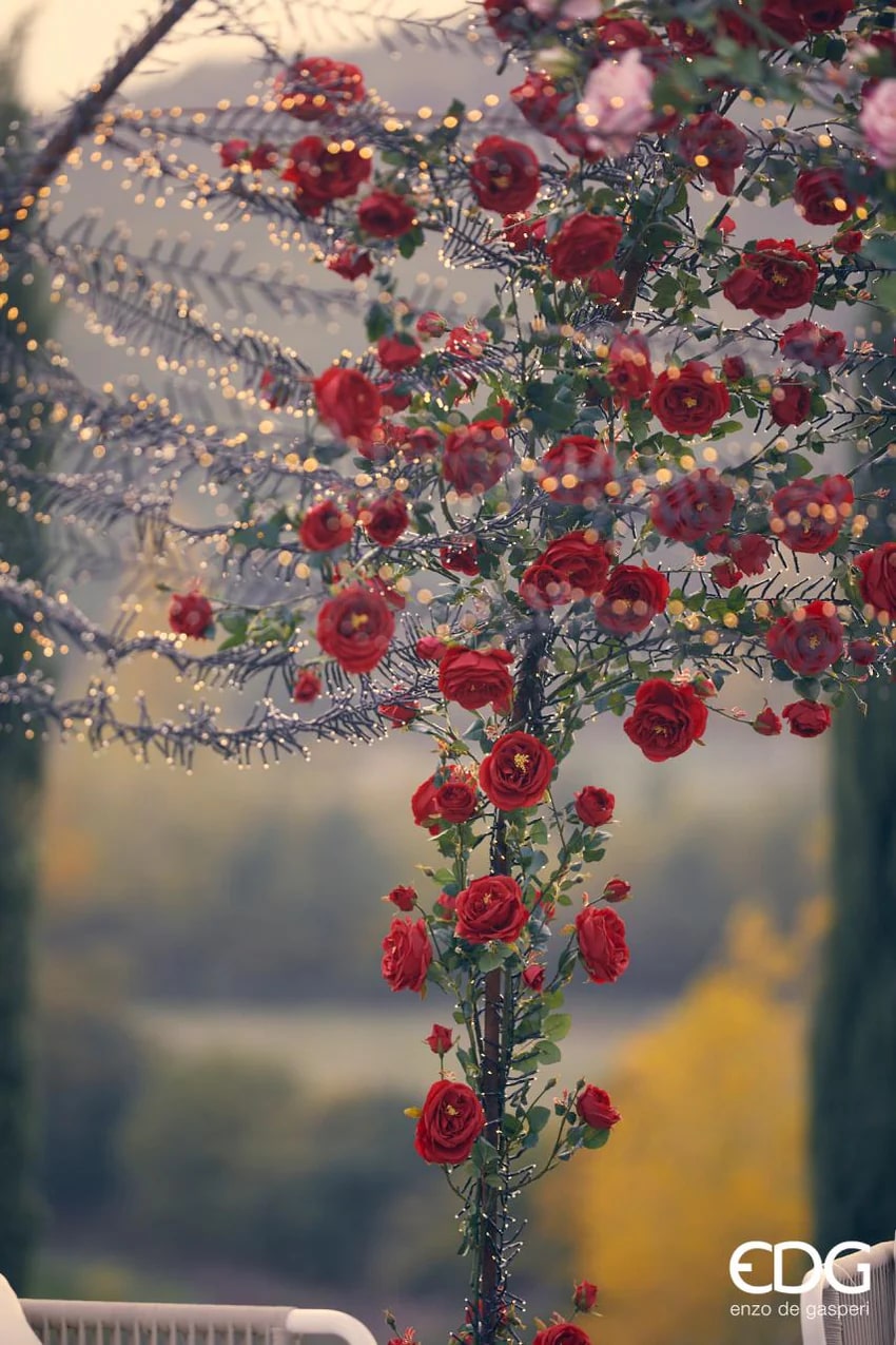 EDG Enzo De Gasperi MiniLed Christmas Lights