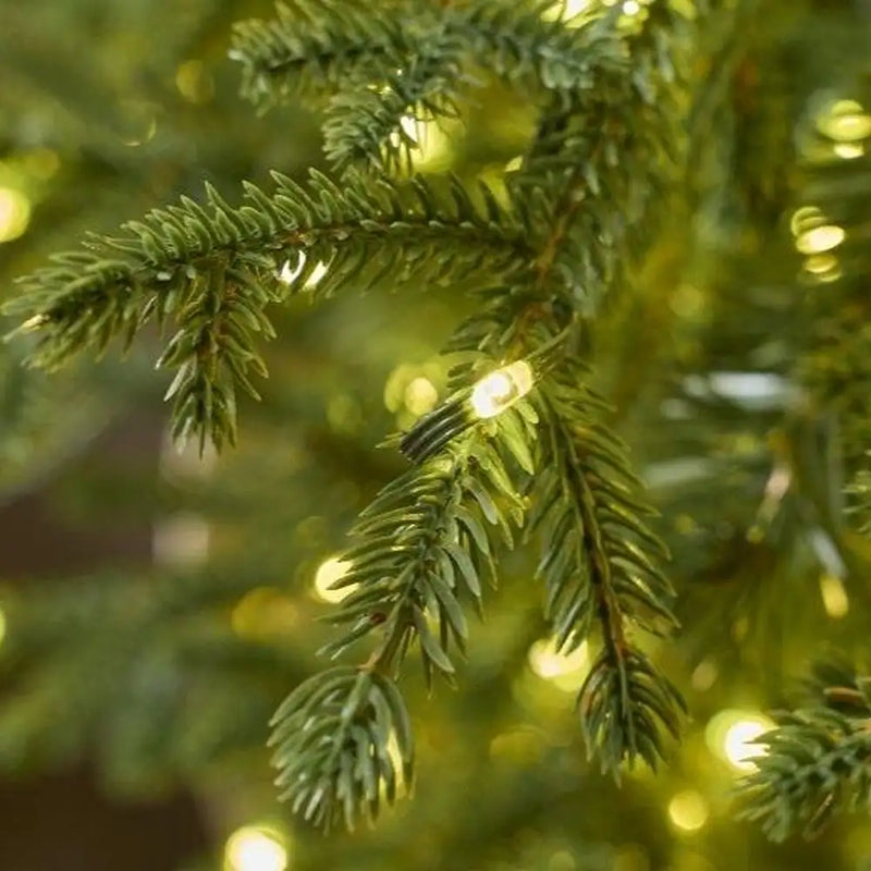 EDG Enzo De Gasperi Pino Natalizio Lucciole con Vaso 1600 LED H150 D 110 cm IP44 Verde – Albero di Natale Luminoso