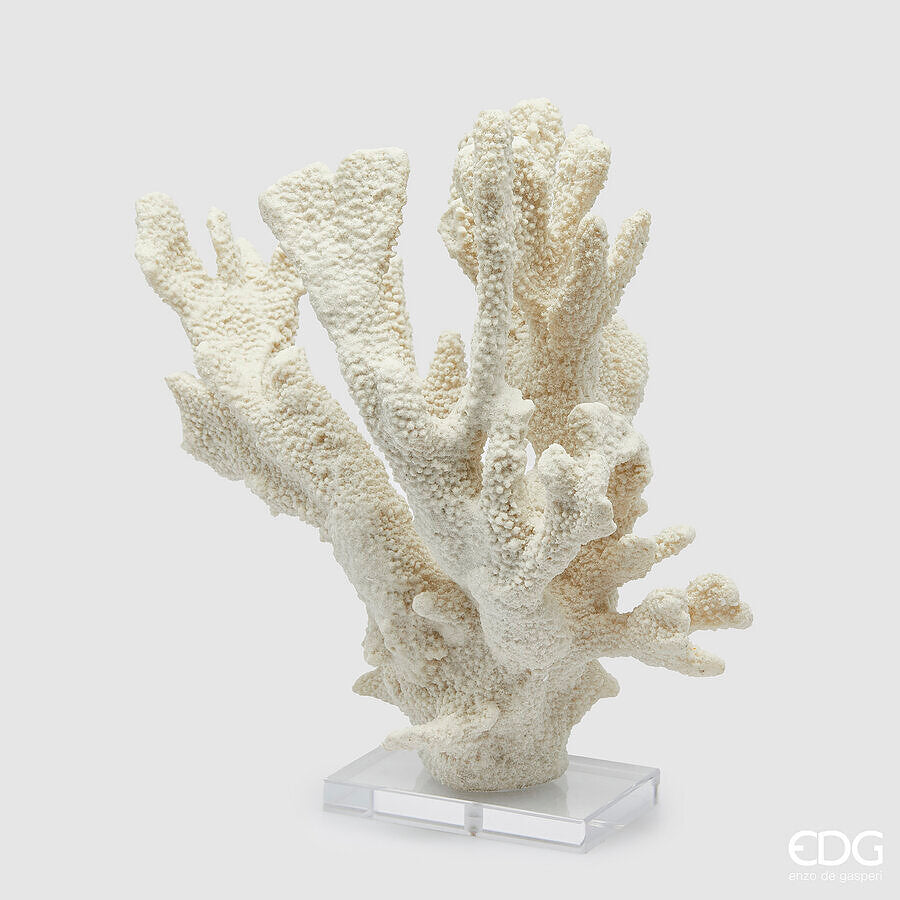 edg enzo de gasperi edg enzo de gasperi scultura corallo h 385 cm l 37 cm l 14 cm ivory ean 8059824482815
