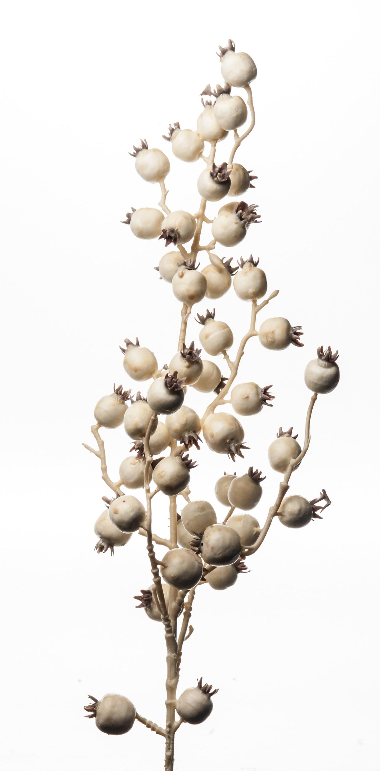 ARPIMEX Christmas Branch Berries 80 Cm Cream