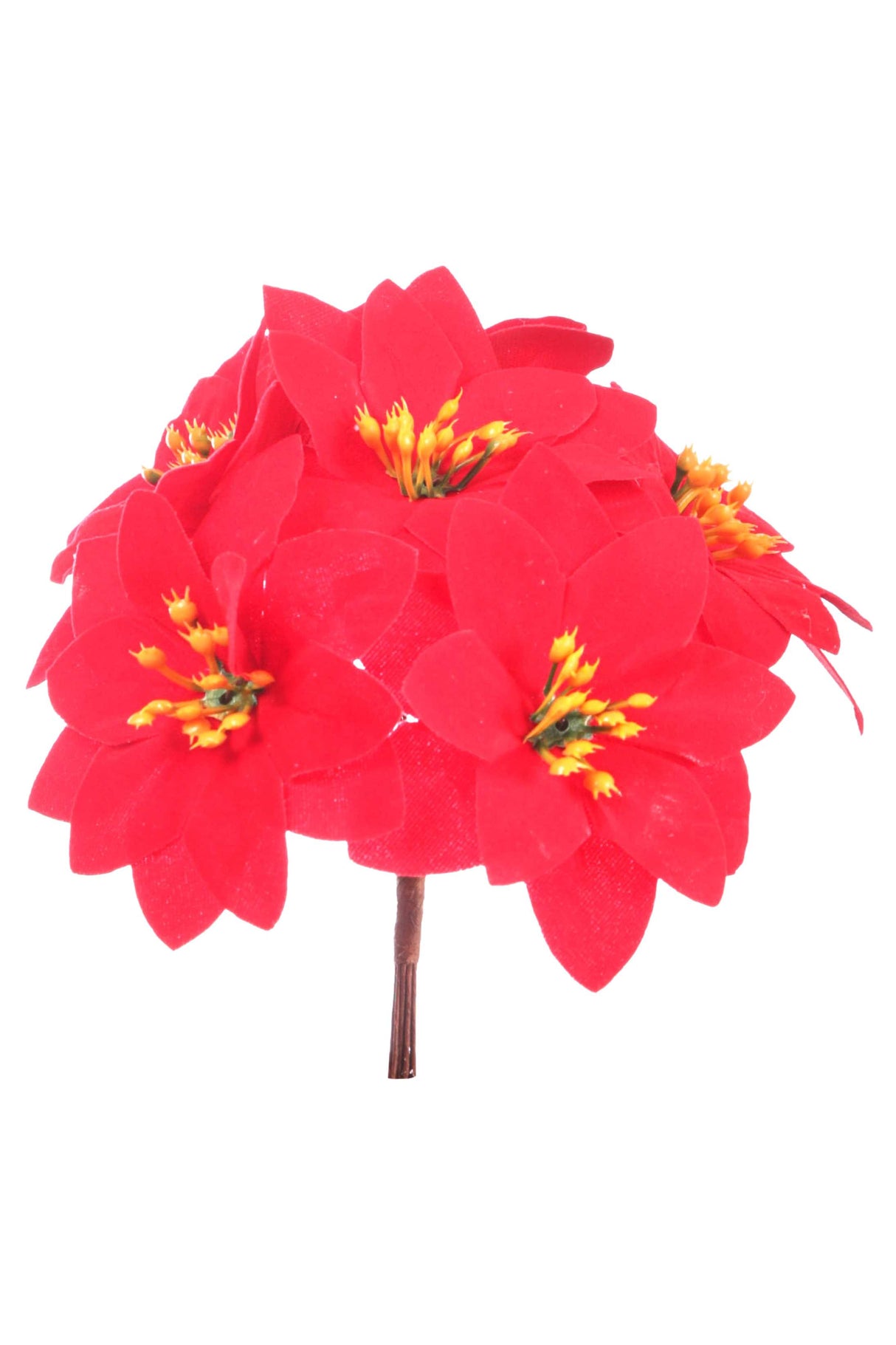 ARPIMEX 7 Mini Christmas Poinsettias Bouquet H 13 Cm Red
