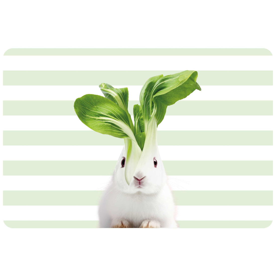 WD LifeStyle Reversible Placemat 43 x 30 cm PVC Rabbit Design