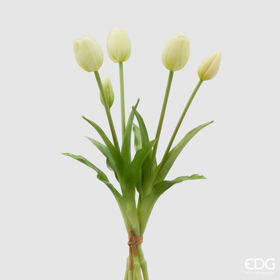 edg enzo de gasperi edg enzo de gasperi bouquet di 5 tulipani chiusi gomma olis h 40 cm champagne ean 8059824081681