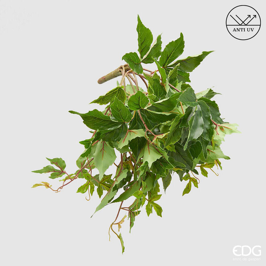 edg enzo de gasperi edg enzo de gasperi cissus bell cadente anti uv h 50 cm pianta artificiale verde ean 8059824051639