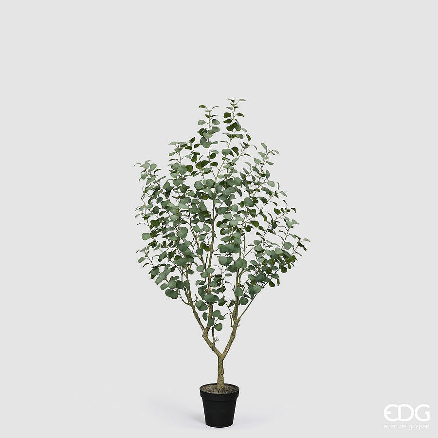 edg enzo de gasperi edg enzo de gasperi eucalipto vogue con vaso pianta artificiale h 190 cm verde ean 8059824607294