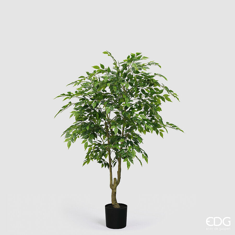 edg enzo de gasperi edg enzo de gasperi ficus beniamino vogue con vaso pianta artificiale h 156 cm verde ean 8059824607348