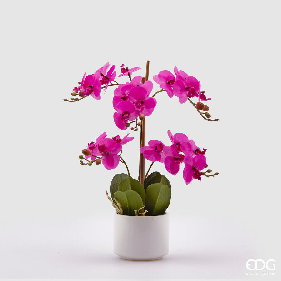 edg enzo de gasperi edg enzo de gasperi orchidea phalaenopsis real con vaso h 38 cm 23f pianta artificiale fuchsia ean 8056372175657