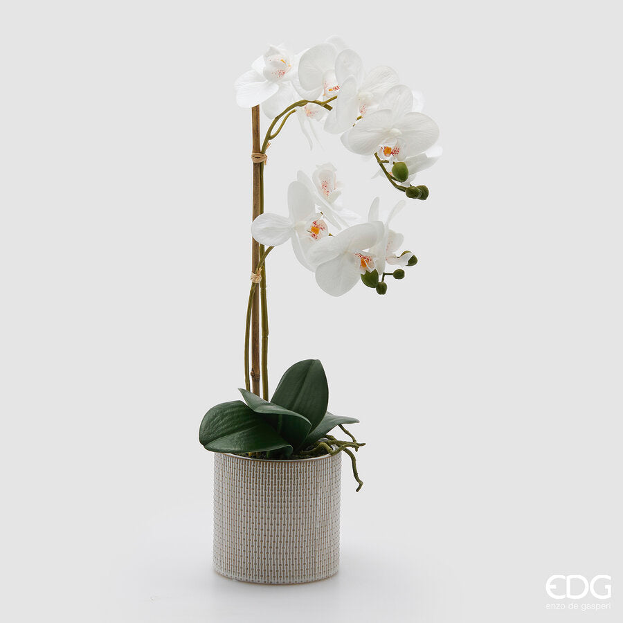 edg enzo de gasperi edg enzo de gasperi orchidea phalaenopsis x2 con foglie e vaso h 51 cm pianta artificiale bianco ean 8059824513717