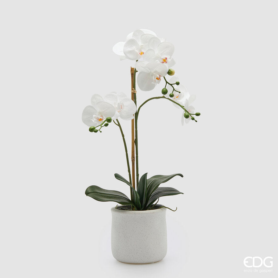 edg enzo de gasperi edg enzo de gasperi orchidea phalaenopsis x3 con foglie e vaso h 56 cm pianta artificiale bianco ean 8059824513793