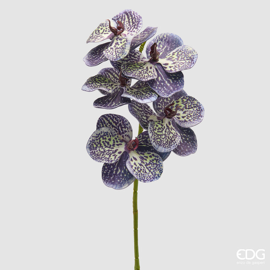 edg enzo de gasperi edg enzo de gasperi orchidea vanda ramo h 65 cm pianta artificiale mix viola ean 8059824615480