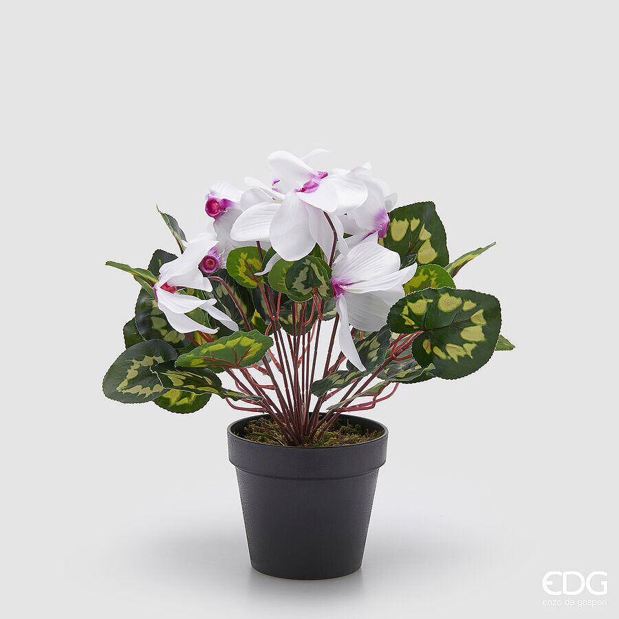 edg enzo de gasperi edg enzo de gasperi pianta artificiale ciclamino con foglie e vaso h 32 cm bianco viola pianta decorativa realistica design moderno ean 8059824517968
